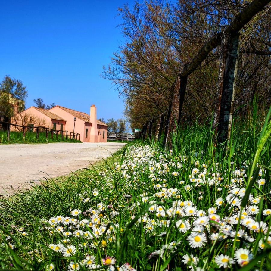 Residenza La Gallinella Comacchio Dış mekan fotoğraf