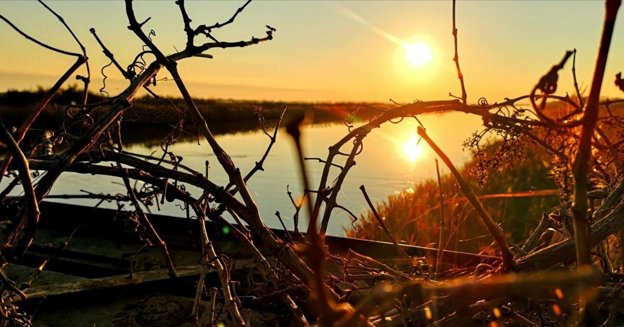 Residenza La Gallinella Comacchio Dış mekan fotoğraf